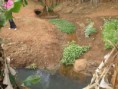 /album/corrego-agua-branca/imagem-134-jpg/